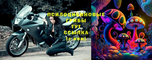 герыч Алексин
