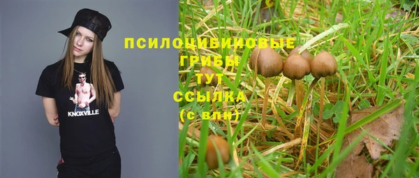 герыч Алексин