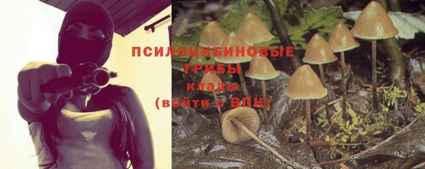 герыч Алексин