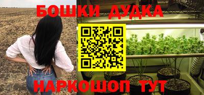 индика Комсомольск-на-Амуре