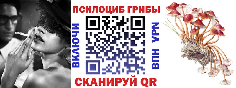 Галлюциногенные грибы Cubensis  как найти закладки  Кондопога 