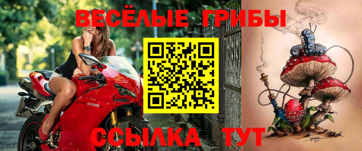 Кондопога  Галлюциногенные грибы Magic Shrooms  Галлюциногенные грибы Magic Shrooms  Вход с VPN 