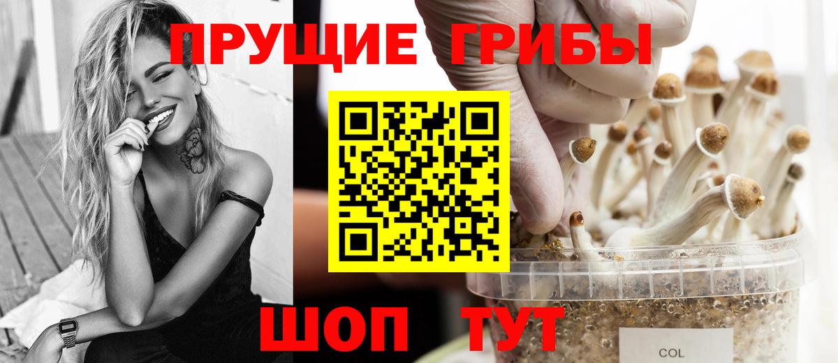 Галлюциногенные грибы прущие грибы Кондопога